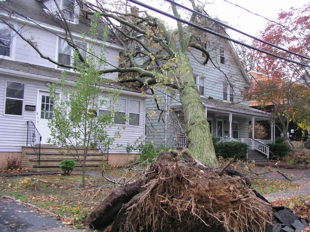 Disaster Operations 15